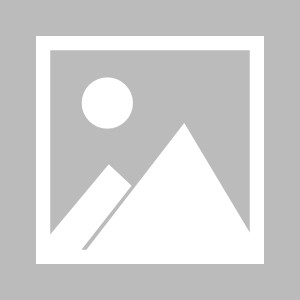 开云体育APP下载-孔蒂宿将，蓝黑福将：达米安火力全开再成英雄